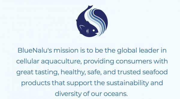 人造海鲜产品将盛行？创新食品公司「BlueNalu」获 2000 万美元的 A 轮融资