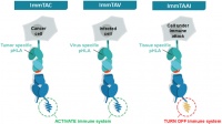 基于TCR研发多种癌症细胞疗法,Immunocore获1.3亿美元B轮融资