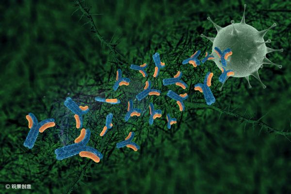 研发多特异性抗体，Numab Therapeutics获三生国健领投2200万瑞士法郎B轮融资