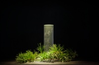 “嗅觉经济”千亿市场之下,「AROMAG」要用“迎合中国审美”的香水突围高端市场