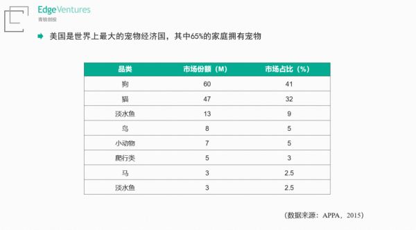 青锐创投吴斌：宠物市场背后的残酷法则