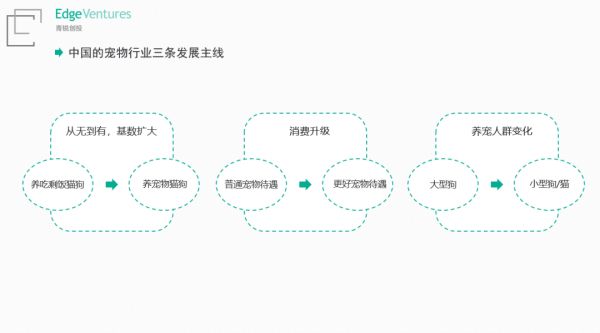 青锐创投吴斌：宠物市场背后的残酷法则