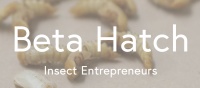 「Beta Hatch」获 300 万美元融资,打造可持续昆虫饲料