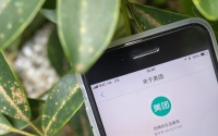 疫情下, 美团惨淡收场的一季报有没有亮点？