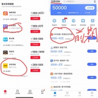 “一夜暴富”的95后互金流量大佬:一年赚上亿,酒吧狂撒币