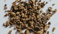 「Rowdy Mermaid」获 350 万美元融资,打造低糖营养的康普茶饮料