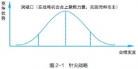 华为的针尖战略