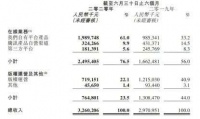 上半年净亏33亿暴露结构性历史问题，新管理层如何再造阅文