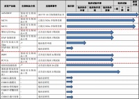 康希诺今日科创板上市：开盘上涨90%，市值990亿元