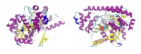 聚焦First-in-Class创新药研发，「青云瑞晶」用生命科学底层技术MicroED解决新药发现难题