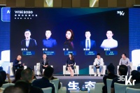 中国品牌出海：全球化趋势与因地制宜发展 | WISE2020 全球化生态大会