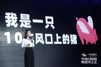 宸帆联合创始人钱夫人：红人经济被忽略的另一半  | WISE2020 新经济之王大会