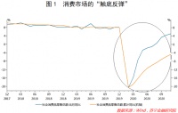 展望2021消费形势:免税凶来产业猛,跨境电商借东风