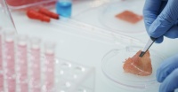 36氪首发 | 将细胞培育人造肉成本降低1000倍，「Future Meat Technologies」获得新一轮战略融资