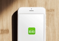 “补位”的拍拍,能否拯救爱回收?