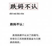 “张坤,你会不会炒股?”