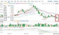 年报“扭盈为亏”?金蝶国际的“云转型”遇到了什么难题?