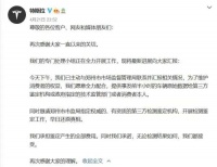 车主亲述:风暴中的特斯拉,与10万个争议的“真相”
