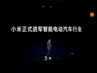 年轻人的第一辆车:造起来有点难