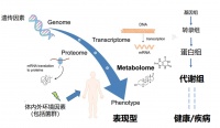 36氪首发 | 提供临床质谱和代谢组学全解决方案,「诺米代谢」获亿元A轮融资
