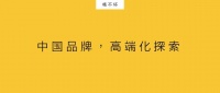 中国品牌向上看