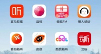 从三分天下到群雄争霸，音频赛道有多少故事可讲？