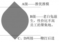 为什么说所有活下去的大企业，终将成为平台型组织？