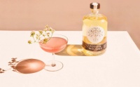 国外创投新闻 | 金酒品牌Pomp & Whimsy获265万美元种子轮融资，做“女性气质适中”的酒类饮品
