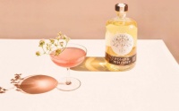 国外创投新闻 | 金酒品牌Pomp & Whimsy获265万美元种子轮融资,做“女性气质适中”的酒类饮品