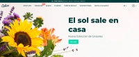 国外创投新闻 | 法国初创公司「Colvin」C轮融资4500万欧元,以「D2C+平台化」狙击传统花卉市场