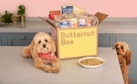 国外创投新闻 | DTC品牌「Butternut Box」获5540万美元融资,主打问卷定制宠物鲜粮