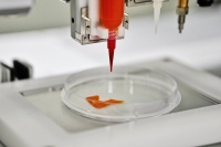36氪首发 | 3D打印出类似真肉的口感,细胞培养肉公司「CellX」完成数千万元人民币天使轮融资