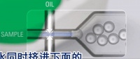 「思纳福」数字PCR一体机获FDA、CE、NMPA认证,国内装机量已超百台