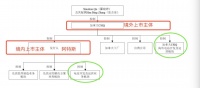 水大鱼大:中国光伏电站出海的「黄金时代」