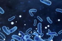瞄准自身免疫与代谢类疾病临床用药空白,「和度生物」开发基因工程细菌活体药物