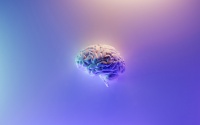 宣称对标马斯克Neuralink,陈天桥和沈南鹏投资近1亿元支持这家中国脑科学初企