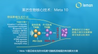 36氪首发 | 用“免疫代谢重编程+AI计算”为创新肿瘤免疫疗法提效,「莱芒生物」获近亿元天使轮融资