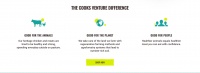 国外创投新闻 | 美国动物农业科技公司「Cooks Venture」获得5000万美元融资,培育更优质的养殖鸡品种