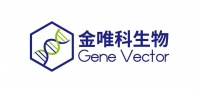 盈科资本战略投资金唯科 助力AAV基因治疗新药研发