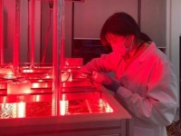 36氪首发 |「德默特」获红杉中国种子基金数千万元天使轮融资,聚焦于合成生物学中的微藻基产品研发生产