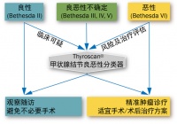36氪首发 | 聚焦甲状腺肿瘤分子诊断,「睿璟生物」完成近亿元新一轮融资