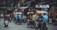 后浪越南，何以异军突起？