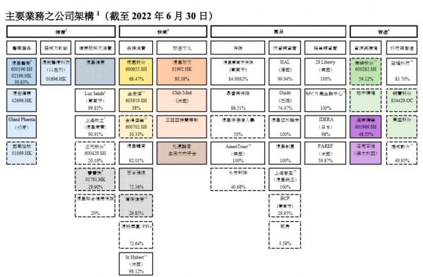 复星国际；图源自2022半年报