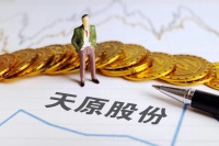天原股份前三季度业绩保持增长,继续加码锂电材料产能|看财报