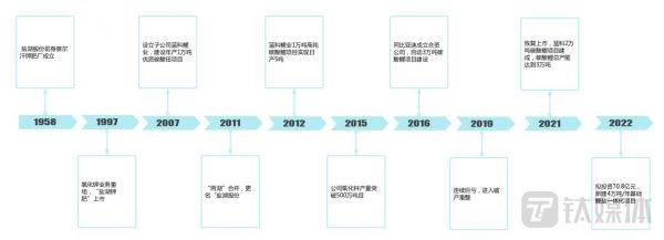 盐湖股份发展历程 钛媒体APP制图