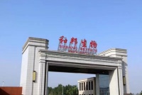 和邦生物2022年盈利38亿元,光伏板块开始兑现业绩|看财报