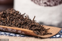 澜沧古茶再度港股递表:净利润率近乎“腰斩”,存货攀升经销商数量连降|IPO观察