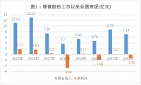 厚普股份财报迷局